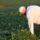 American farmers feed growing demand with less farmland