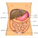 Ketogenic Diet Outperforms Other Plans for Reversing Prediabetes and Fatty