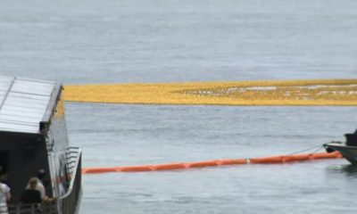 More Than 90,000 Rubber Ducks Flood Chicago River In Record-Setting