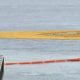 More Than 90,000 Rubber Ducks Flood Chicago River In Record-Setting