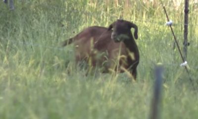 North Carolina Health Officials Urge Farm Adventures Visitors to Call