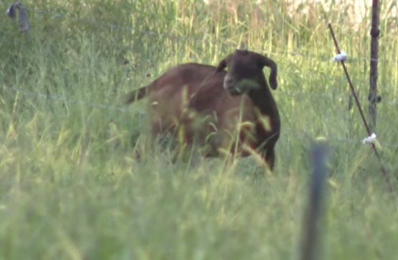 North Carolina Health Officials Urge Farm Adventures Visitors to Call