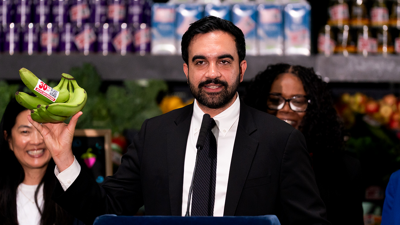 Portnoy says taxpayer subsidies will mask Mamdani grocery store flaws
