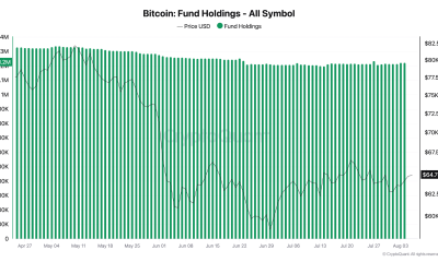 New Analysis Warns Over ‘Breaking’ Bitcoin Treasury Investment Model