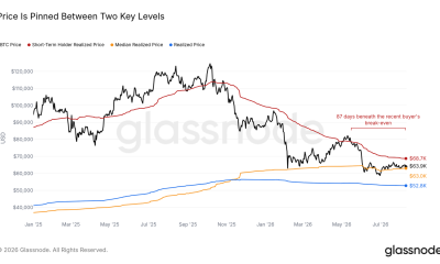 Bitcoin Price Range Breakout Rests On Short-Term Holders, Analysis Shows