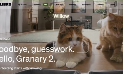 PetLibro App Down Again? Users Report Feeder Connectivity Issues For