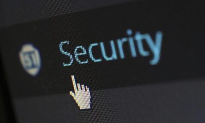 Choosing the Right Crowd Management Security Provider for Your Event