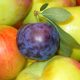 Prunes