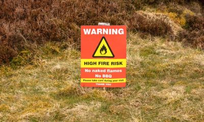 the UK wildfire alert and net zero policy clash noisier than the Royal Albert Hall's organ
