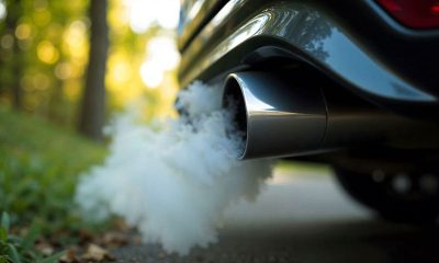 Government consults on EV sales targets