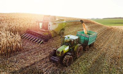 UK food prices to rise into 2027 as drought hits crops
