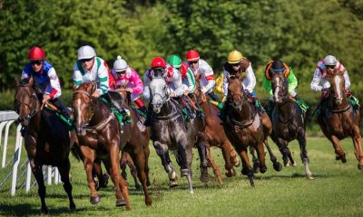 Best Betting Sites Ireland 2026