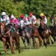 Best Betting Sites Ireland 2026