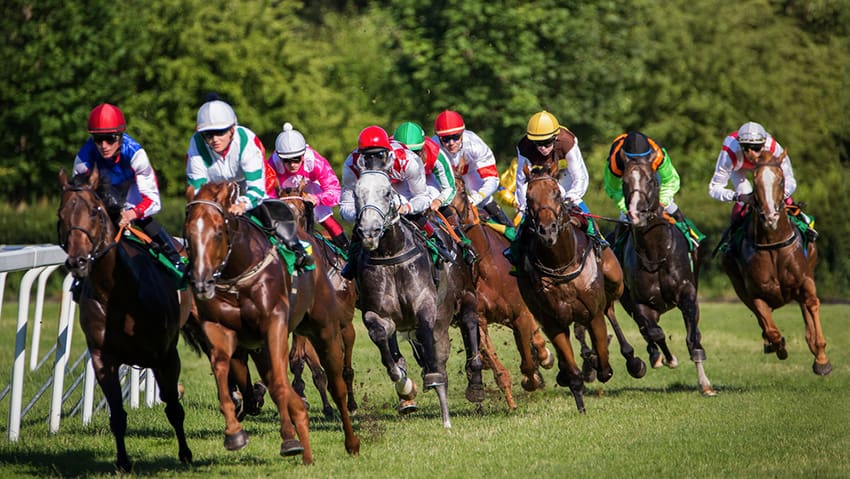 Best Betting Sites Ireland 2026