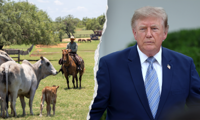 Trump’s foreign beef push sparks GOP revolt from ranching country