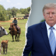Trump’s foreign beef push sparks GOP revolt from ranching country