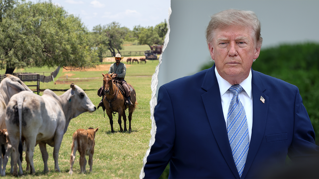 Trump’s foreign beef push sparks GOP revolt from ranching country