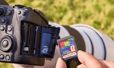 Sandisk Stock Jumps On Bullish Outlook. Memory Names Follow.