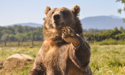 Dow Jones Futures Rise After Bearish Market Signal; Bitcoin Keeps Surging