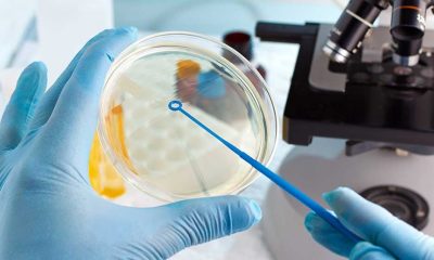 Biotech Analysts See Drastic Change For Industry Earnings