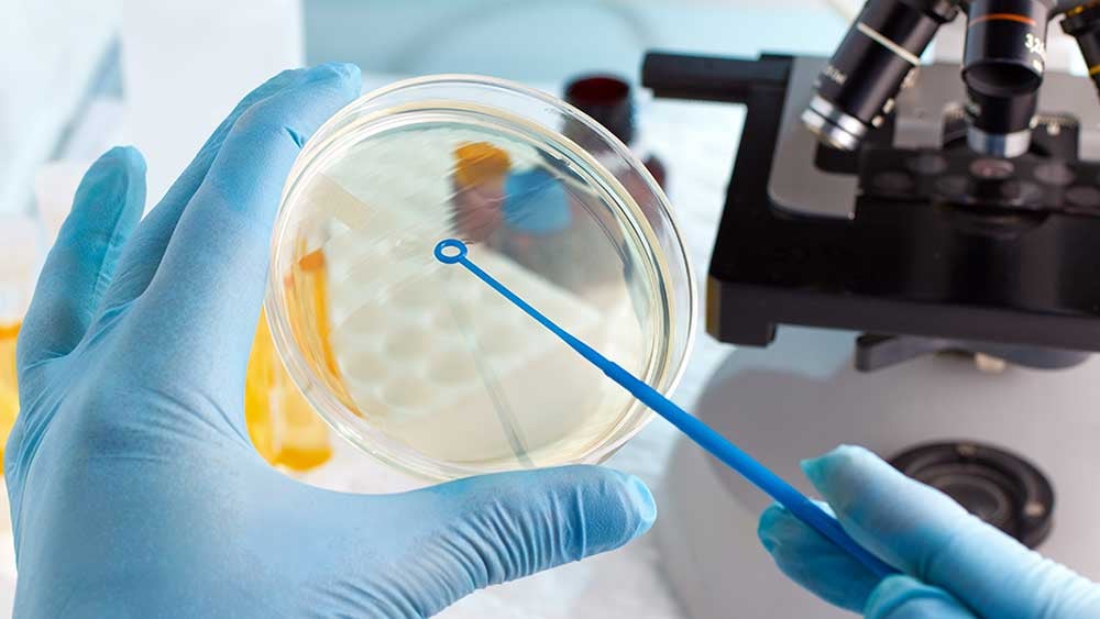 Biotech Analysts See Drastic Change For Industry Earnings