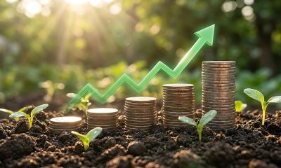 These 7 Best Stocks Are Analyst Favorites For Earnings Growth