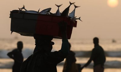 What It Means to Build a Truly Sustainable Ocean Economy