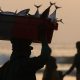 What It Means to Build a Truly Sustainable Ocean Economy