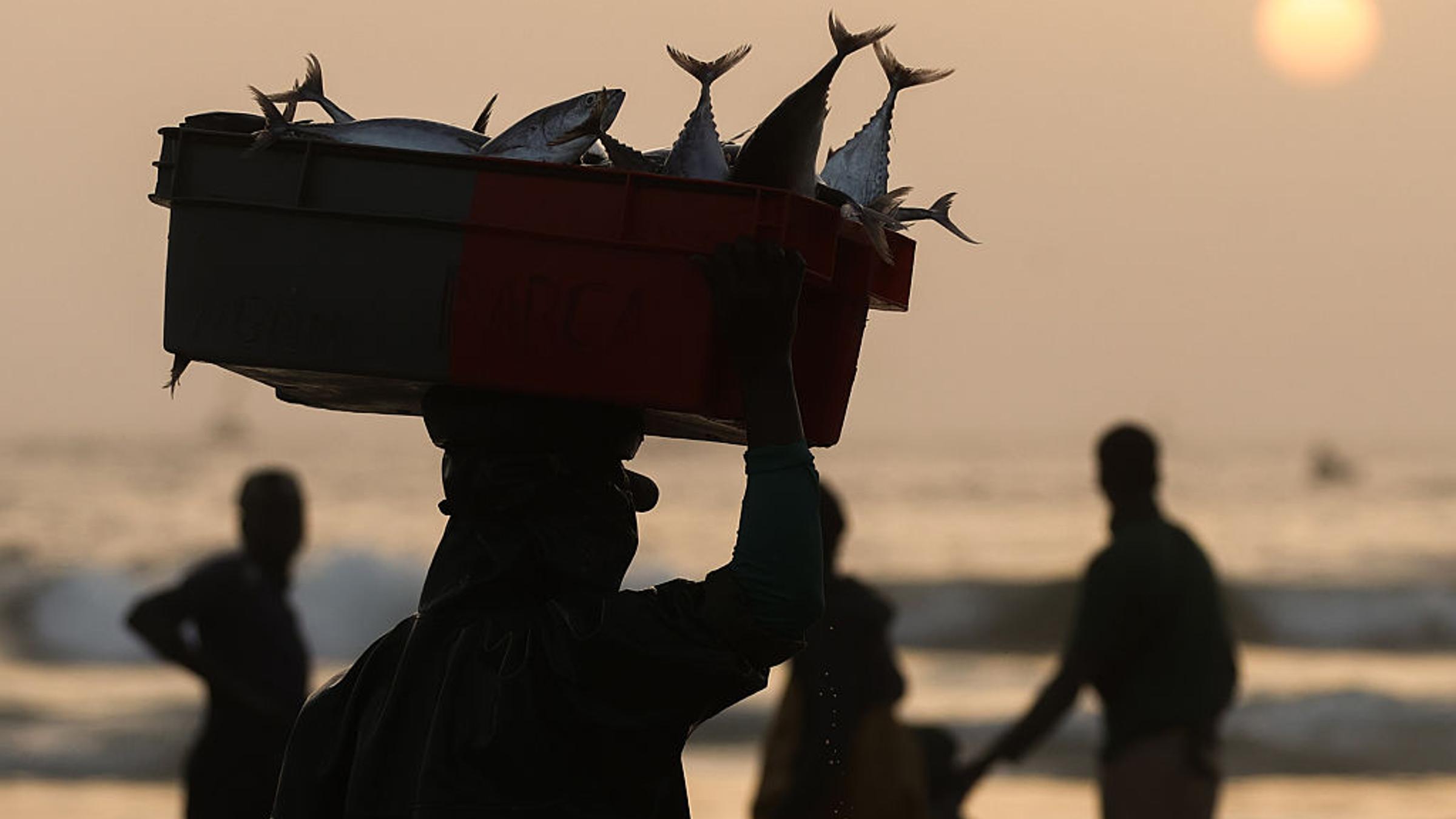 What It Means to Build a Truly Sustainable Ocean Economy