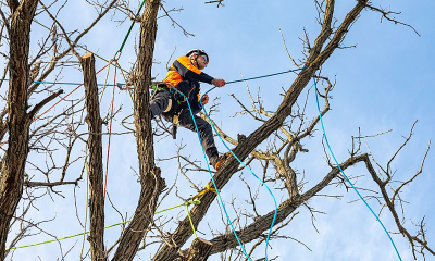 Climbing ropes recalled over defect that could cause deadly falls