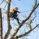 Climbing ropes recalled over defect that could cause deadly falls