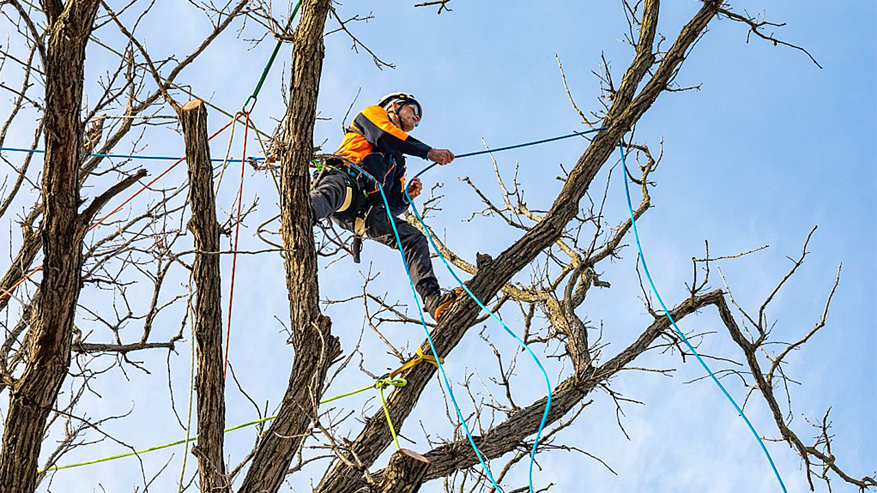 Climbing ropes recalled over defect that could cause deadly falls