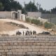 Palestinian American returns to defend his home in occupied West Bank siege