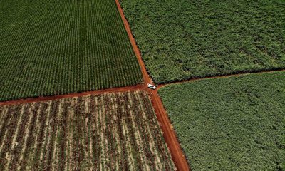 Court case opens in challenge to South Africa's land expropriate law