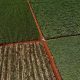 Court case opens in challenge to South Africa's land expropriate law