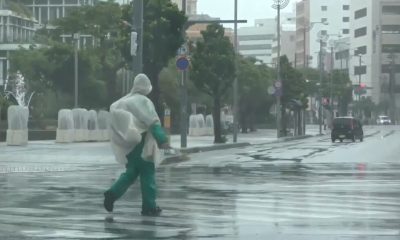 Eastern China braces for Typhoon Dolphin