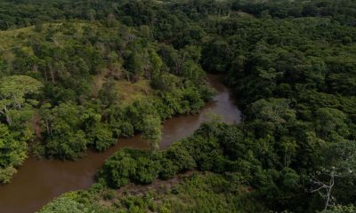 Colombia's deforestation rises 5% in 2025, Amazon pressure persists
