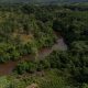 Colombia's deforestation rises 5% in 2025, Amazon pressure persists