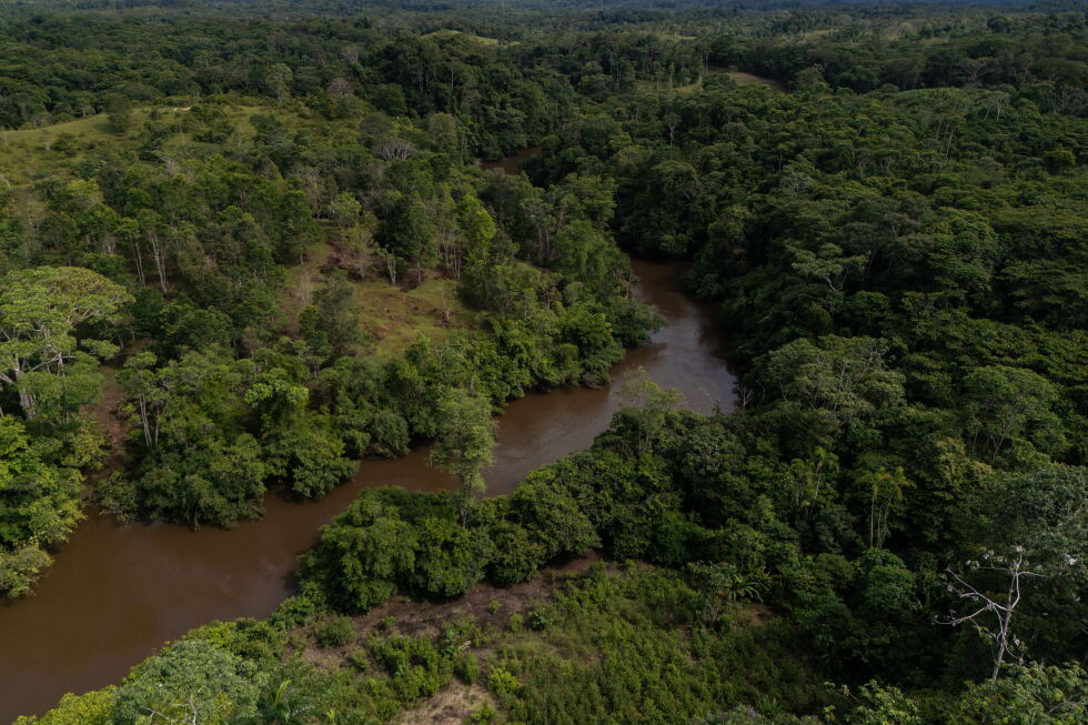 Colombia's deforestation rises 5% in 2025, Amazon pressure persists