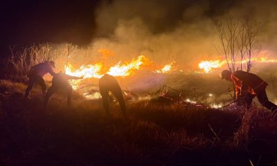 Wildfire spreads in Indonesia's Mount Bromo