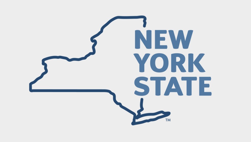Users Report Problems With New York State's Official Website as