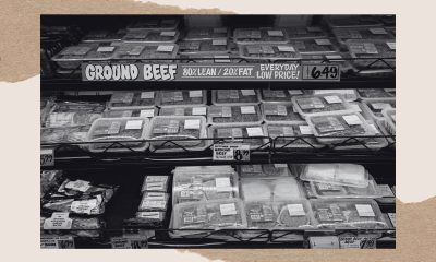 You Are What You Eat: Beef, Boy Kibble, and the Search for Manhood