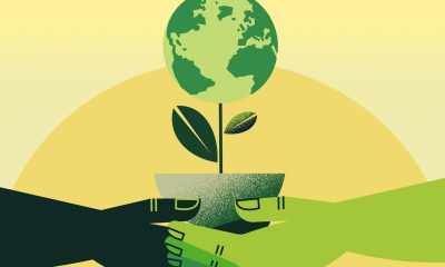 Hands holding earth plant