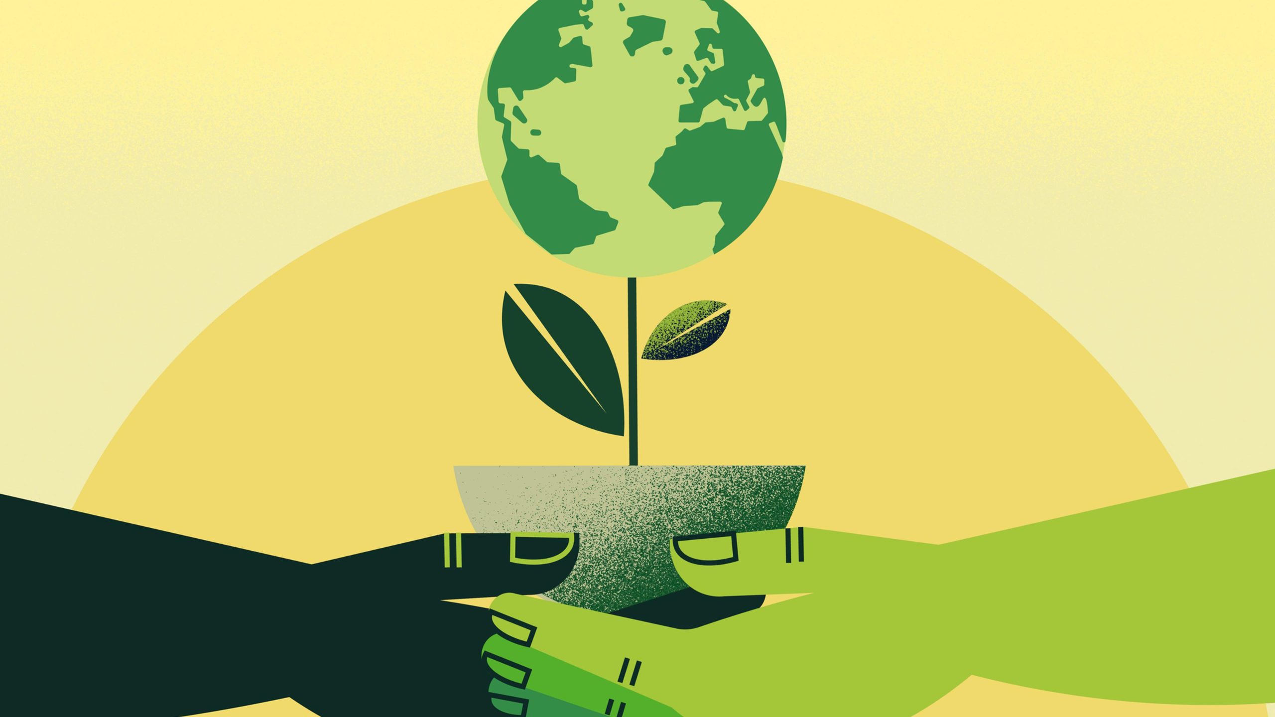 Hands holding earth plant