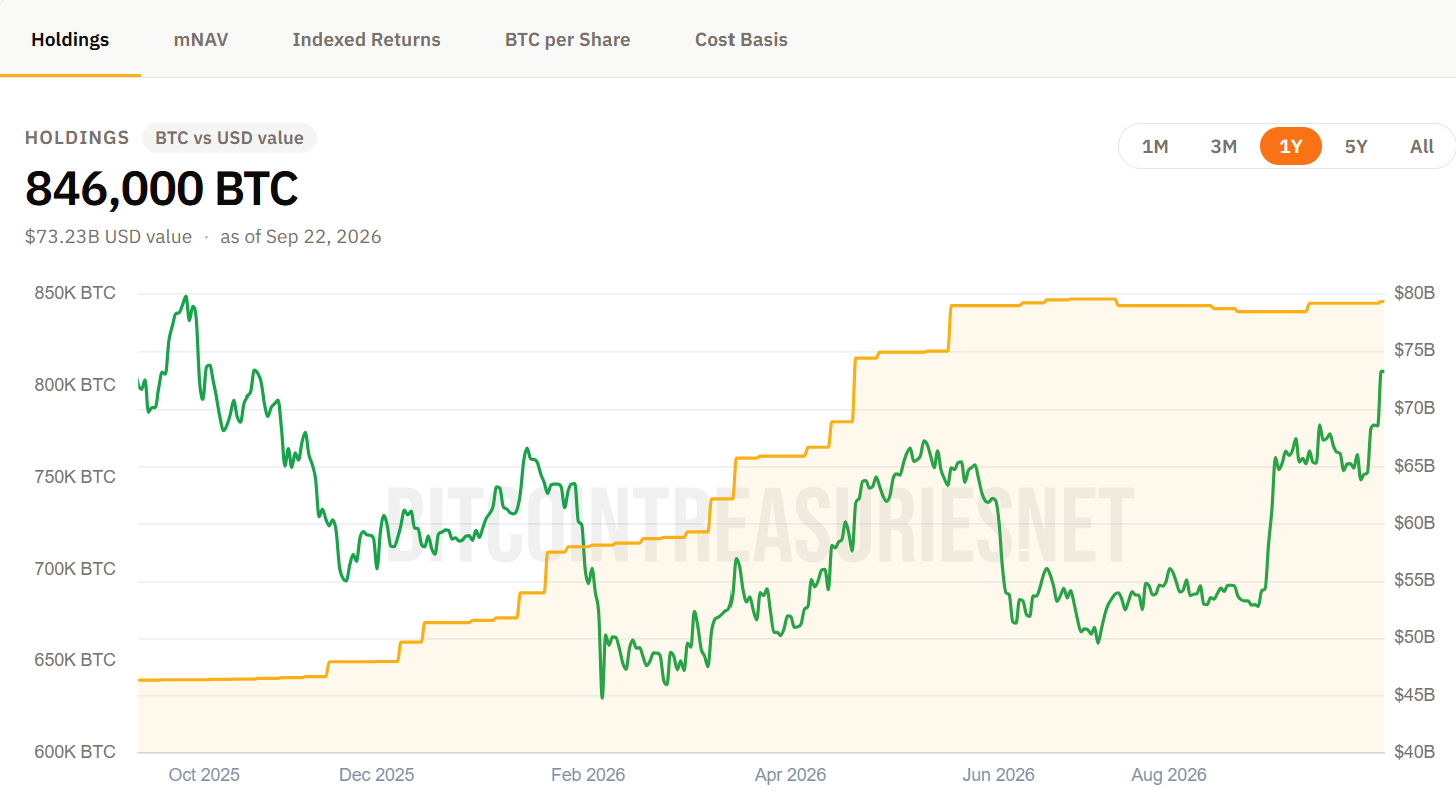 MicroStrategy BTC Holdings. Source: Bitcoin Treasuries