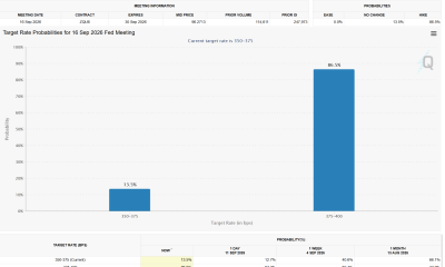 Rate Hike/Cut Probabilities. Source: CME FedWatch Tool