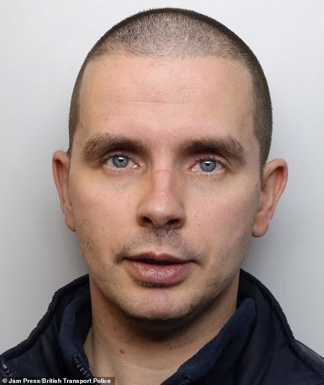 David Johnson, pictured, was in April sentenced at Inner London Crown Court to two years and three months behind bars