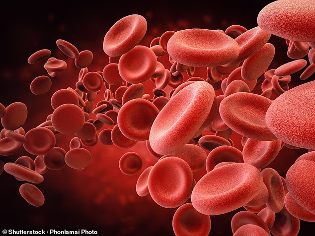 Without iron, the body can't make enough haemoglobin, the protein in the blood responsible for carrying oxygen around the body