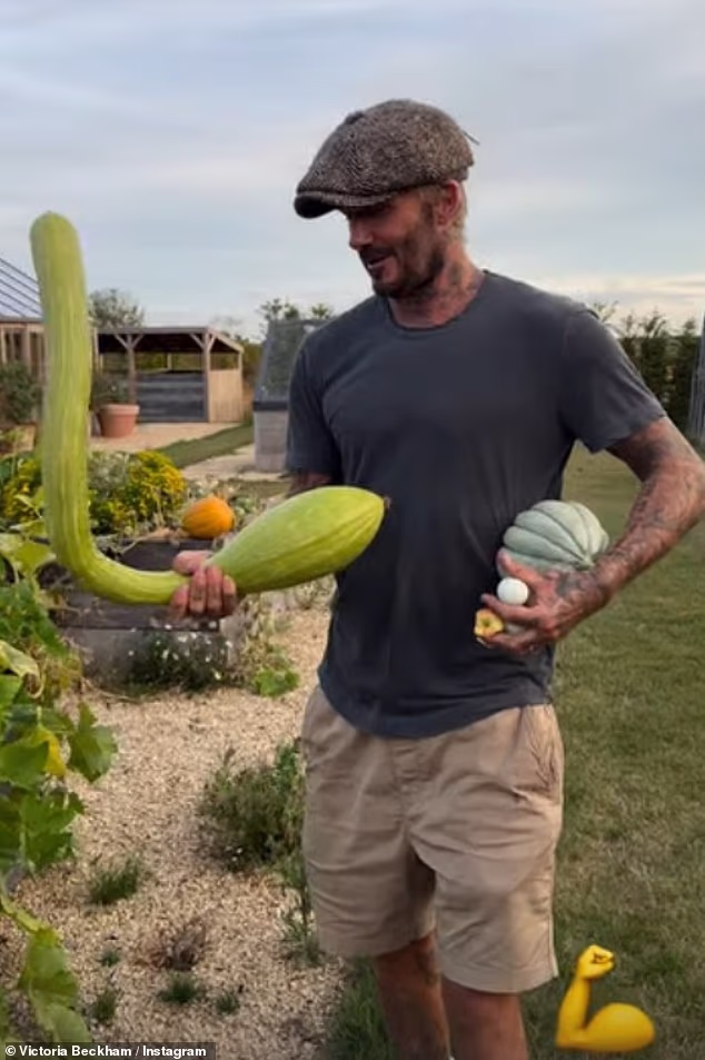 David Beckham impressed his wife Victoria with his bizarrely shaped long pumpkin and juicy plums as the couple shared an innuendo-filled garden update to Instagram on Monday