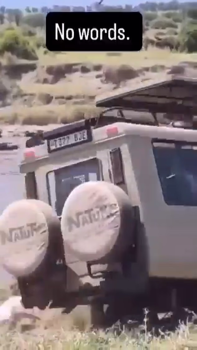 Footage captured from a separate Safari vehicle shows the Jeep racing along the bumpy terrain towards the Mara River